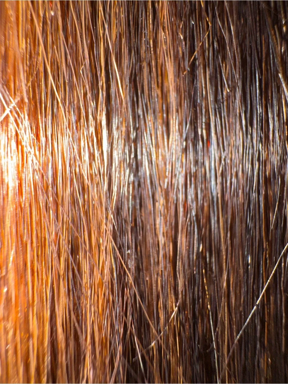 Harlem collection. 100% human hair. Straight.